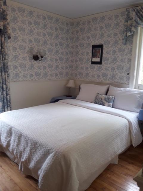Auberge la maison sous les pins Saint-Joseph-de-la-Rive Extérieur photo