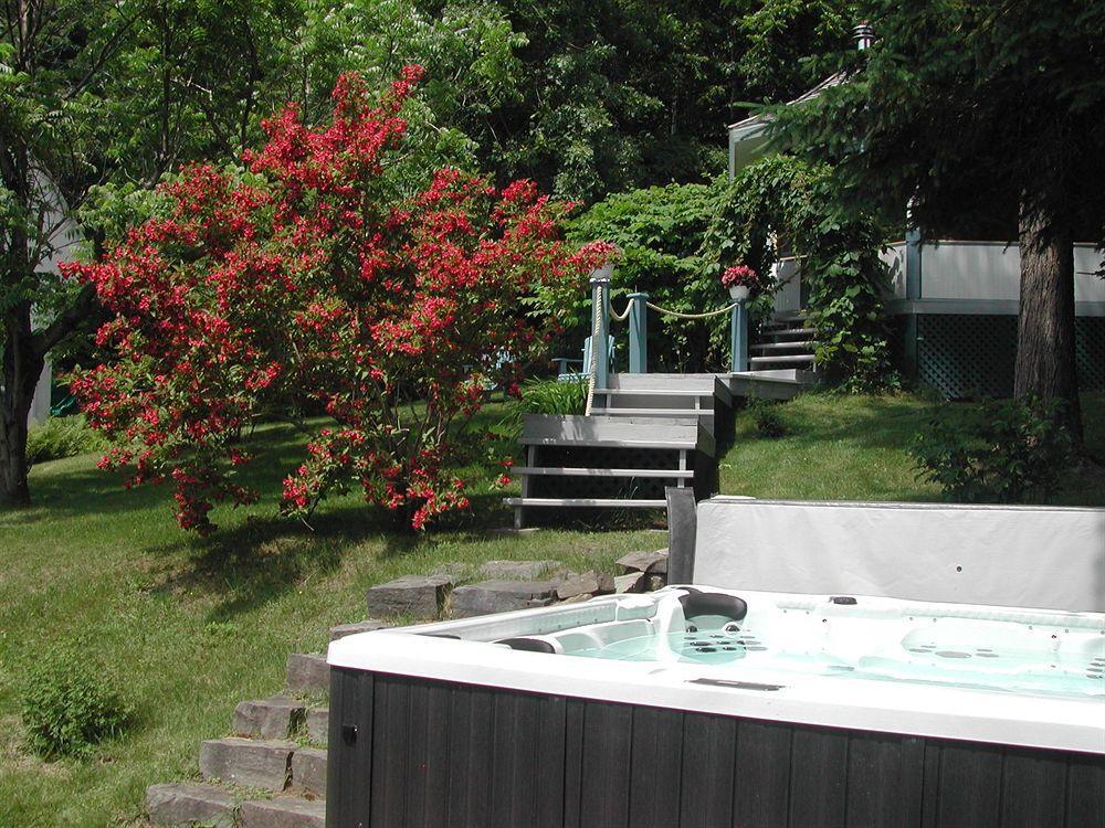 Auberge la maison sous les pins Saint-Joseph-de-la-Rive Extérieur photo